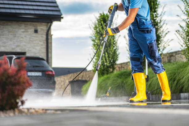 Best Solar Panel Cleaning  in Riverton, IL